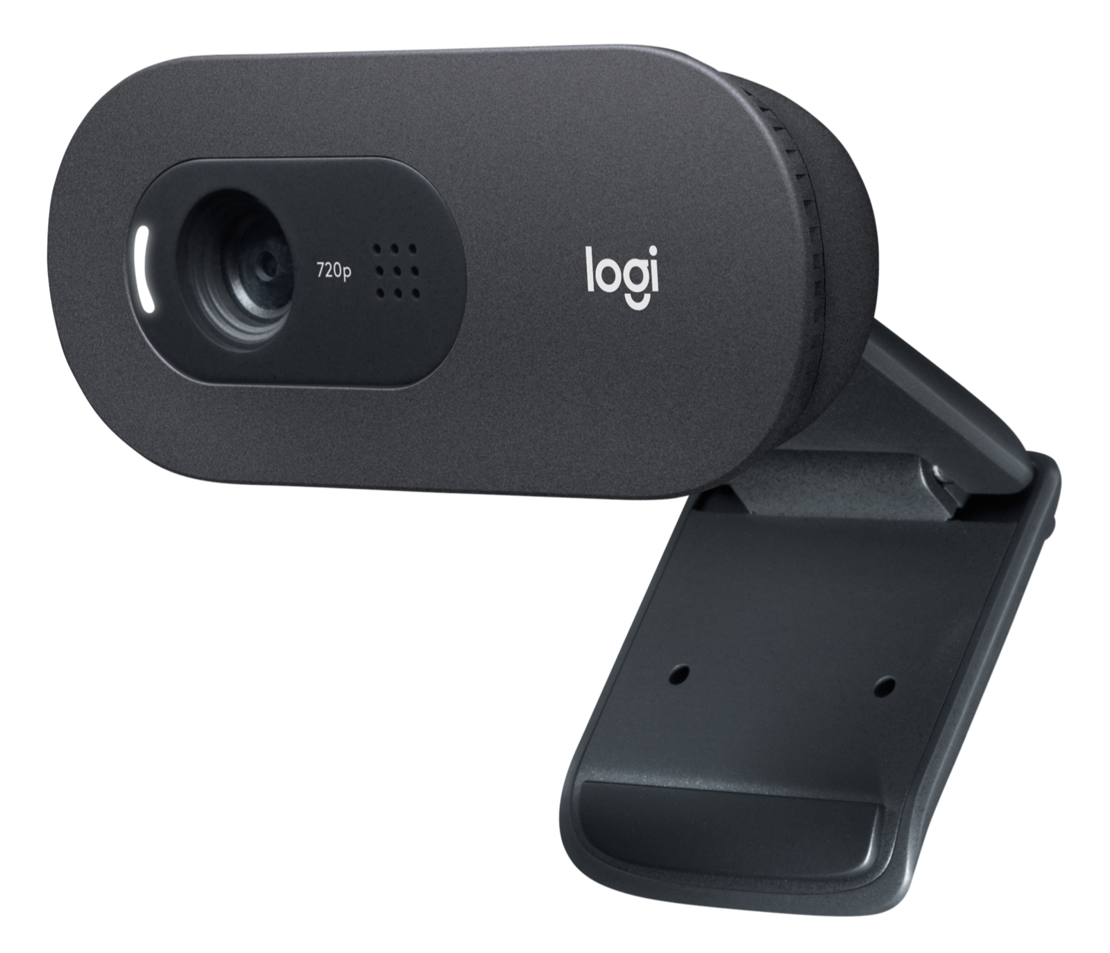Camara Web Logitech C505 Videoconferencias Hd 720P  (960-001367)