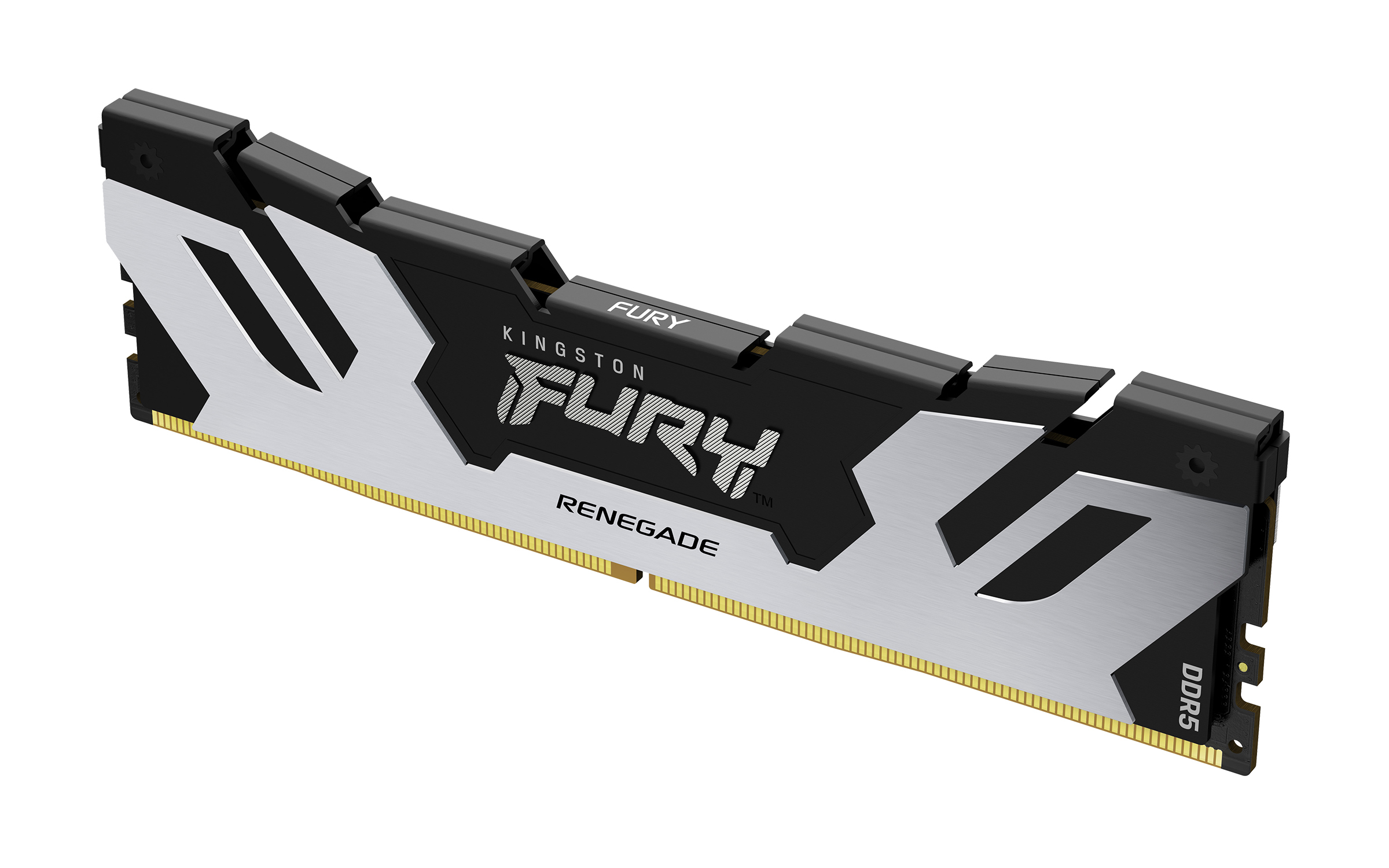 Memoria Ram Kingston Fury Renegade 32Gb Ddr5 6400Mhz Cl32 Expo Dimm Plata Kf564C32Rs-32