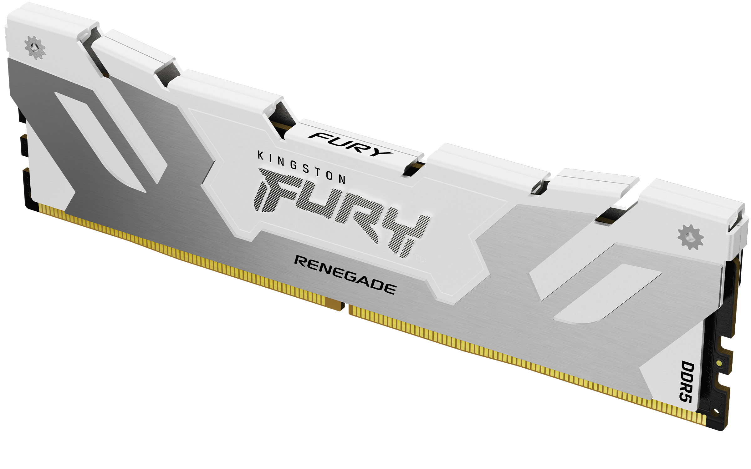 Memoria Ram Kingston Fury Renegade 16Gb Ddr5 8000Mhz Cl16 Expo Dimm Kf580C38Rw-16