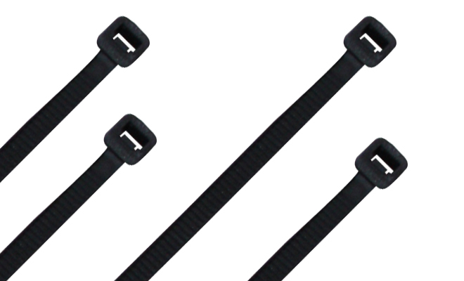 Cinchos De Nylon Thorsman Th-100 10Cm Negro 100X Piezas 4200-01001