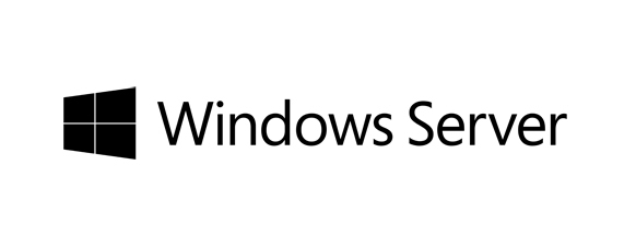Windows Server 2019 Rok Standard Edition - P11058-071