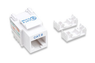 Jack Intellinet Cat 6  De Impacto (Keystone) Blanco (210591)