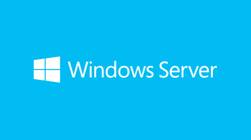 Windows Server 2019 Microsoft P73-07799-Oem Windows Server Std 2019