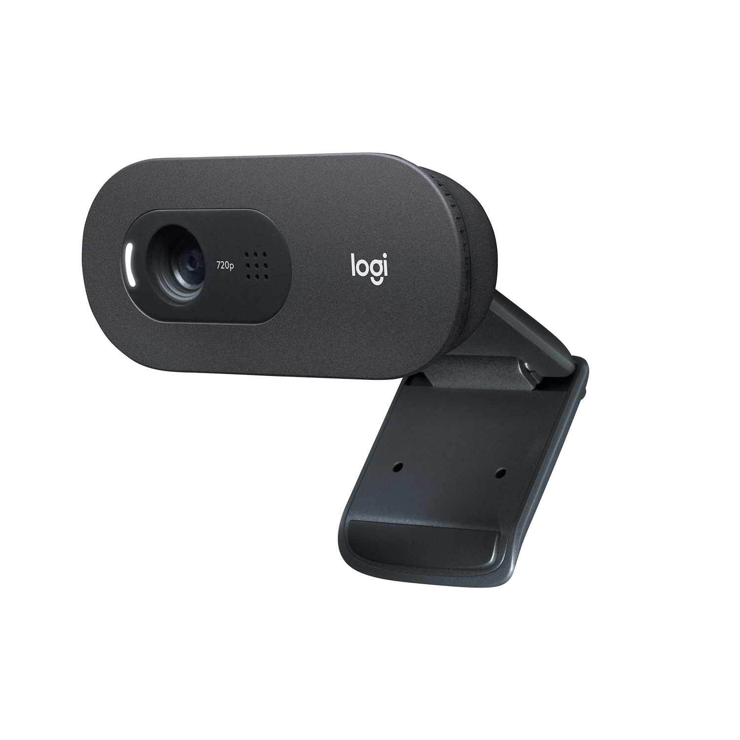 Camara Web Logitech C505 Videoconferencias Hd 720P 960-001363