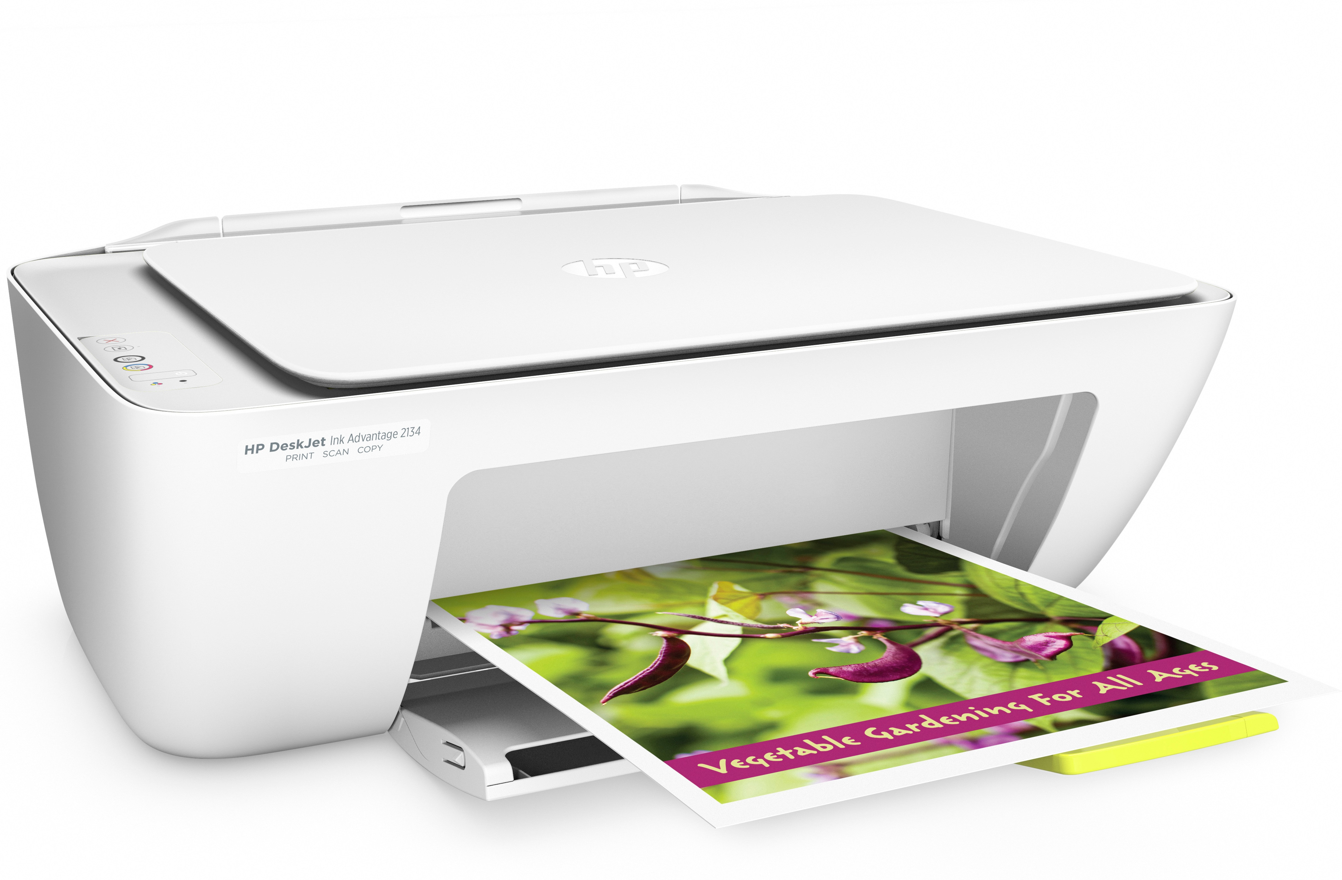 Impresora Multifuncional Hp Deskjet Ink Advantage 2134 Color 4Hm22A