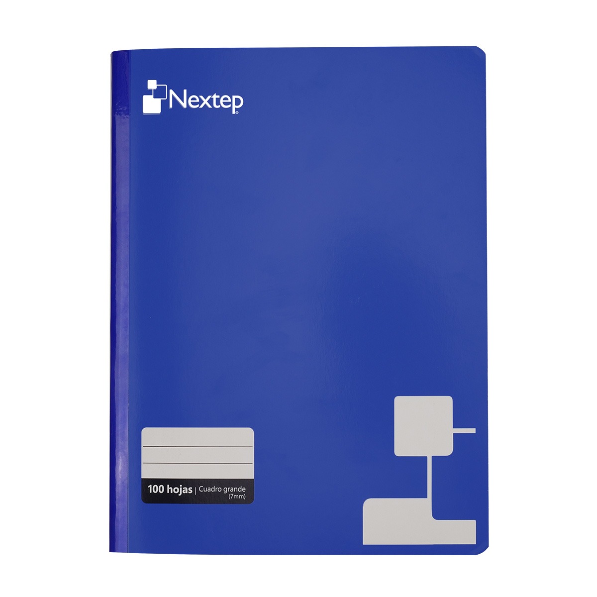 Cuaderno Nextep Ne-008G Profesional Cuadro Grande C7 100 Hojas Cosido Azul