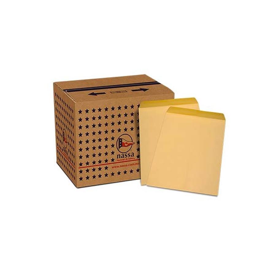 Sobre Bolsa Nassa Ante Oficio 60 Kg 24X34 Pq500